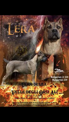 LERA DELLA VALE DEGLI ORSI ALI